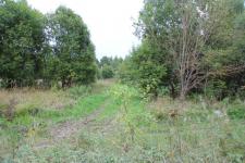 Участок 49 соток земли ( ИЖС ) в Сергиев-Посадском районе, деревня Малинники, Московская область.
