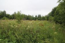 Продается земельный участок 15 соток в СНТ Багримово, рядом с деревней Владимирово и станцией Багримово
