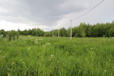 Продается земельный участок 43 сотки с электричеством в деревне Дворики, Александровский район, 80 км от МКАД по Ярослав.ш.