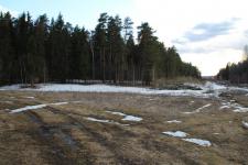 Продается земельный участок 15 соток в д. Вески, рядом с п. Светлый.