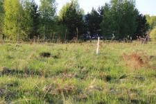Продается земельный участок 15 соток в деревне Данилково, рядом с деревней Перематкино и деревней Лизуново, 90 км от яр.ш.