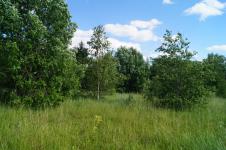 Продается земельный участок 20 соток в дер. Татьянино (по направлению в пгт Балакирево) 115 км. от МКАД по Ярославскому шоссе