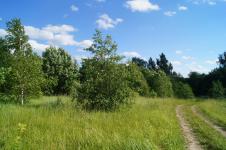 Продается земельный участок 20 соток в дер. Татьянино (по направлению в пгт Балакирево) 115 км. от МКАД по Ярославскому шоссе