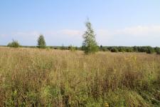 Продается земельный участок 25 соток в деревне Корелы, рядом с деревней Верхние Дворики и деревней Конюхово