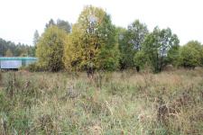 Продается земельный участок 20 соток в деревне Кудрино, рядом с деревней Афанасово, Киржачский район, Владимирская область