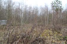 Продается земельный участок 16 соток с фундаментом в деревне Вяльковка, Александровский район.