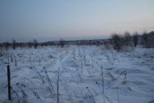 Продается земельный участок 30 соток в селе Бакшеево, 115 км от МКАД по Ярославскому шоссе.