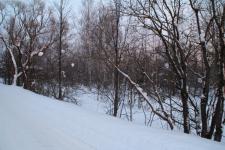 Продается земельный участок 50 соток в деревне Новожилово, 80 км от МКАД по Ярославскому шоссе.